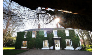 an ivy-covered hotel on a sunny day