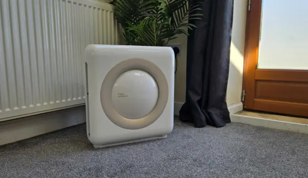 A view of the Coway Airmega Mighty in tester Rebecca's living room