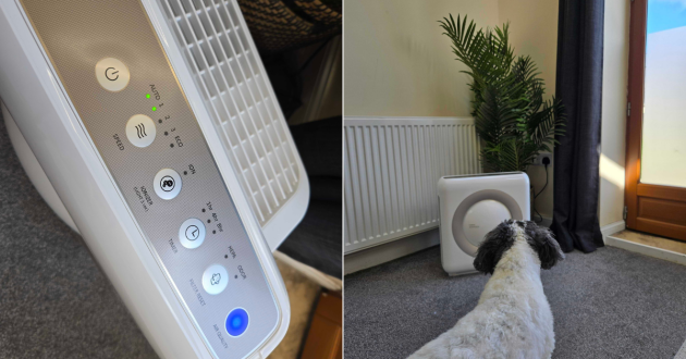 A dog stands in front of the Coway Airmega Mighty air purifier