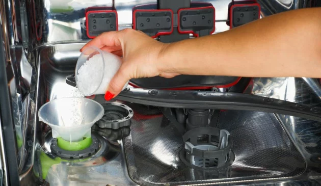 Best dishwasher salt
