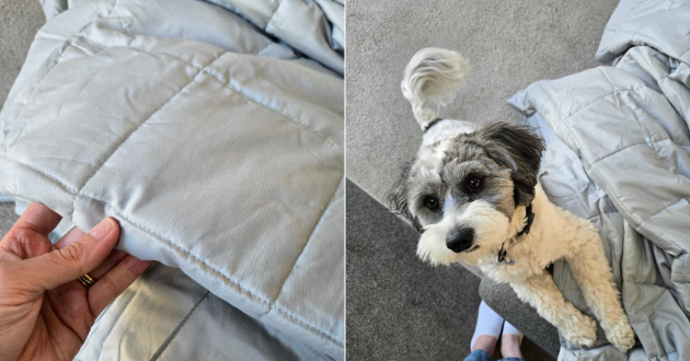 A hand shows the detail of the Emma blanket next to a dog