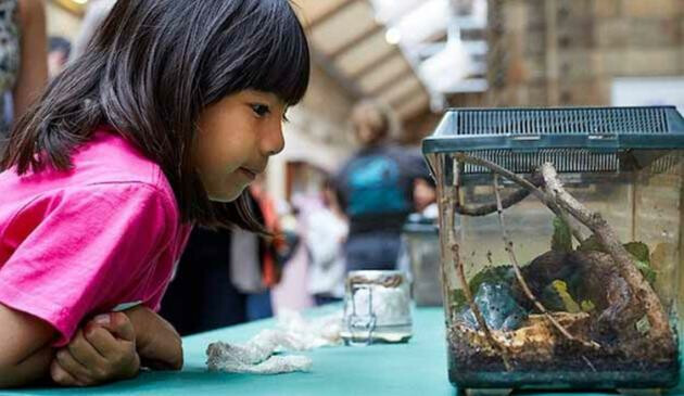 Explore must-see exhibitions nationwide