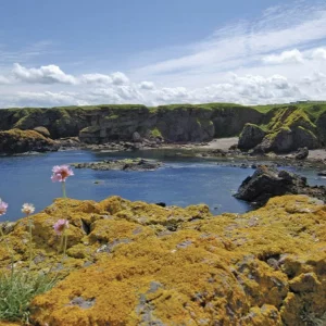 Eyemouth holiday park coast