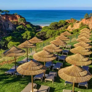 Falesia Garden and Pool loungers