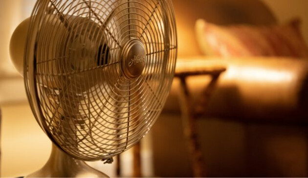 Fan in a living room