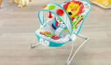 Fisher Price bouncer main