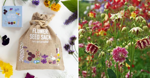 Scott&Co. Flower Seed Starter Kit