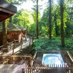 The treehouse at the Forest of Dean Forest Holidays site in Gloucestershire