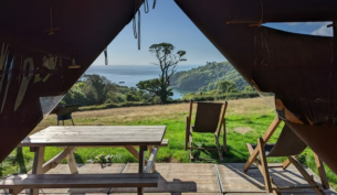 Fountain Violet Feather Down Farm