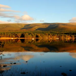 Glenmore Camping lake