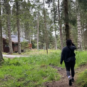 Walking in the woodland at Glentress Forest