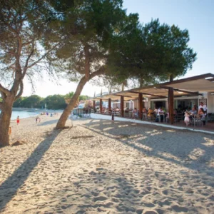 a beachfront restaurant with trees