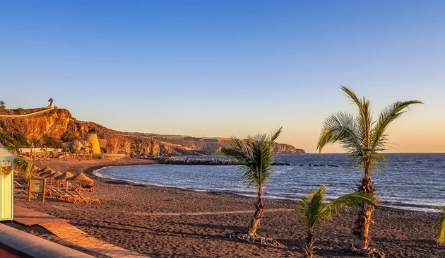 a view of a canary island beach, with palm trees