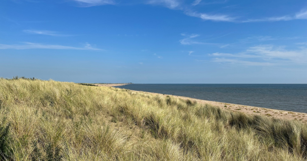 Holkham Beach and Pinewoods Circular