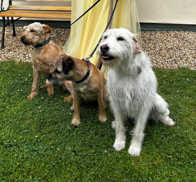 Lola and her siblings