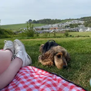 Ladram Bay Holiday Park, Devon review image of holiday park with dog