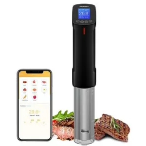 Inkbird Sous Vide