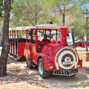 Internacional de Calonge train