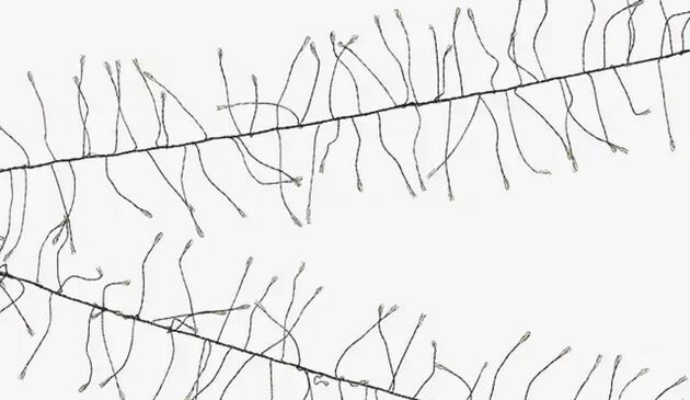 John Lewis Vine Lights