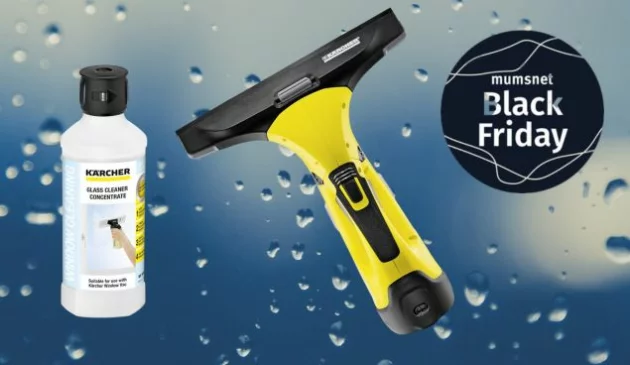 Karcher Window Vac and cleaner