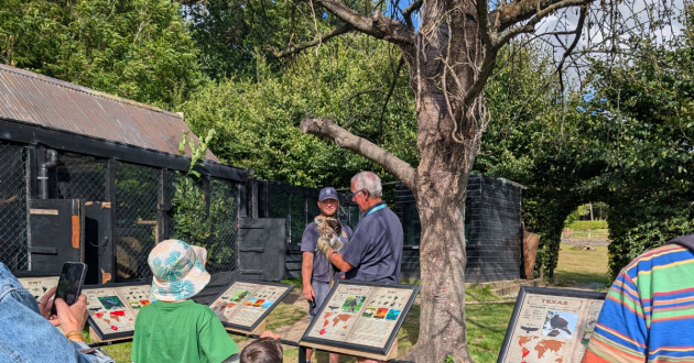 Birds of prey demonstration at Leeds Castle