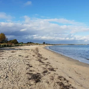 Knoll House Hotel beach