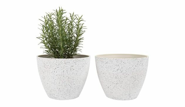 La Jolie Muse plant pots