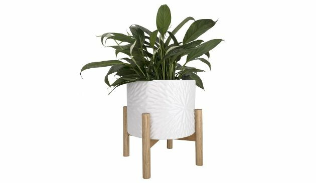 La Jolie plant pot