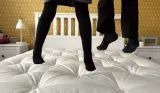 Children's legs appear to be bouncing on top of the Loaf Top Dog Mattress
