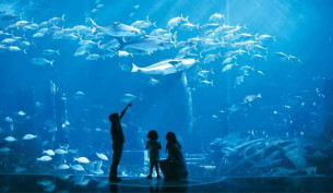 The Lost Chambers aquarium