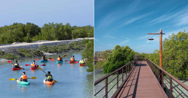 On the left, kayaks at the Mangrove National Park, and on the right the boardwalk