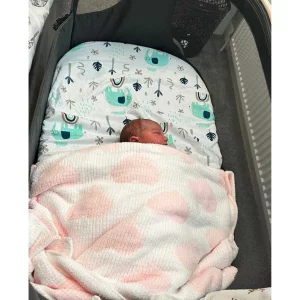 Maxi-Cosi Iora Air Co-sleeper