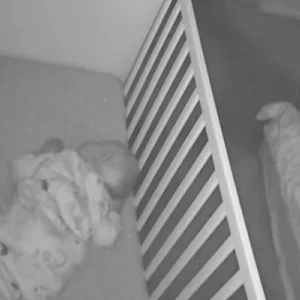 Maxi-Cosi See Pro Baby Monitor night vision