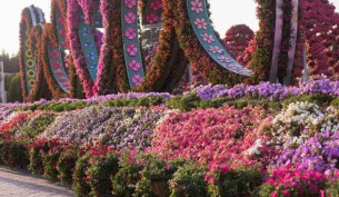 Dubai Miracle Garden