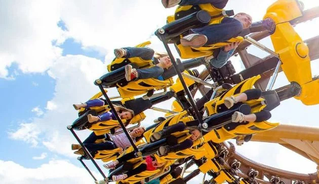 Best Theme Parks