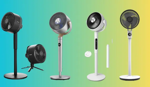 Best pedestal fans