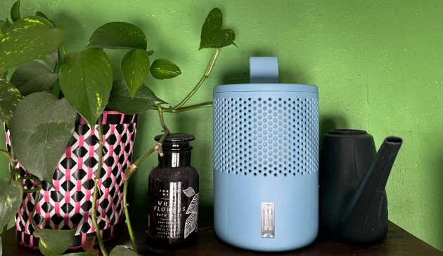 Absodry duo family moisture absorber review