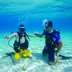 Diving at the Occidental Cozumel in Mexico