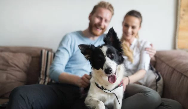 Couple with dog