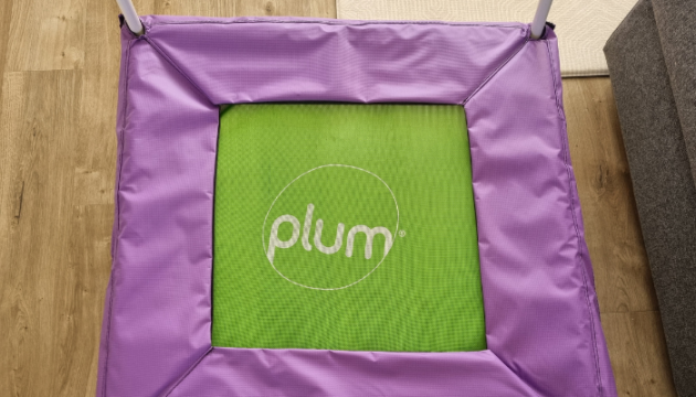 Plum Junior Bouncer in living room