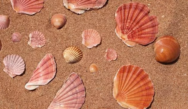 Best beaches in Portugal