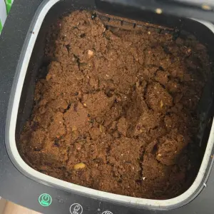 A look at compost in the Reencle Prime Electric Composter after six weeks