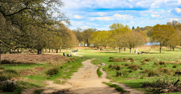 Richmond Park Tamsin Trail