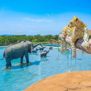 Sanguli Eurocamp pool