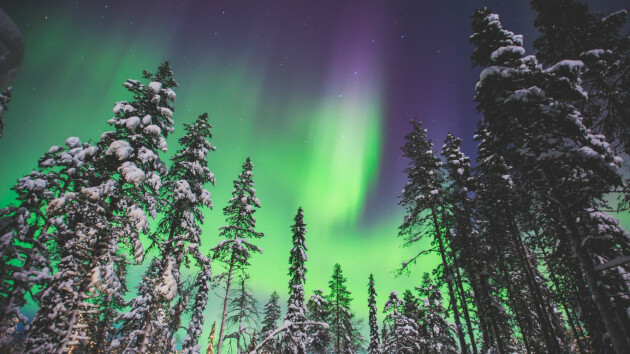 Northern Lights seen on a Lapland holiday with Santa's Lapland
