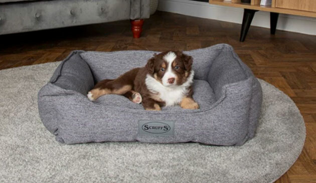 Scruff Manhattan Box bed