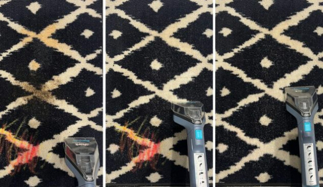 Shark StainStriker Stain & Spot Cleaner cleaner