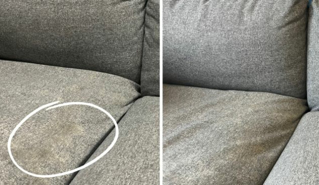 Shark StainStriker Stain & Spot Cleaner sofa