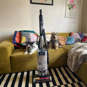 Shark Stratos XL 2.6 Litre Corded Upright Vacuum Cleaner