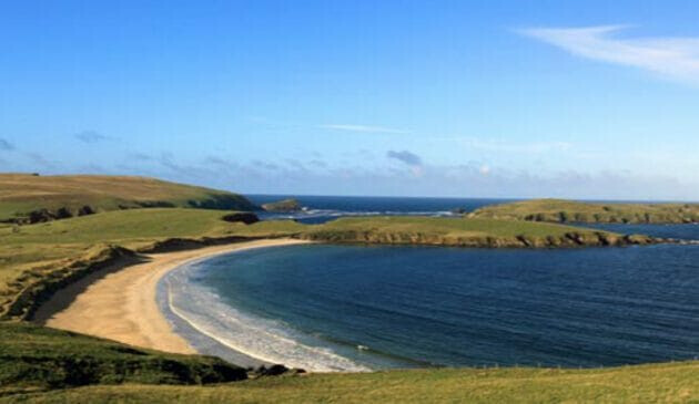 The Shetlands
